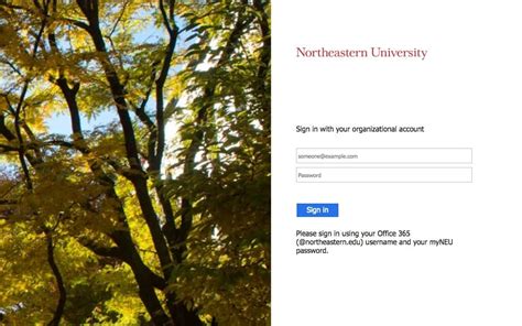 microsoft office northeastern